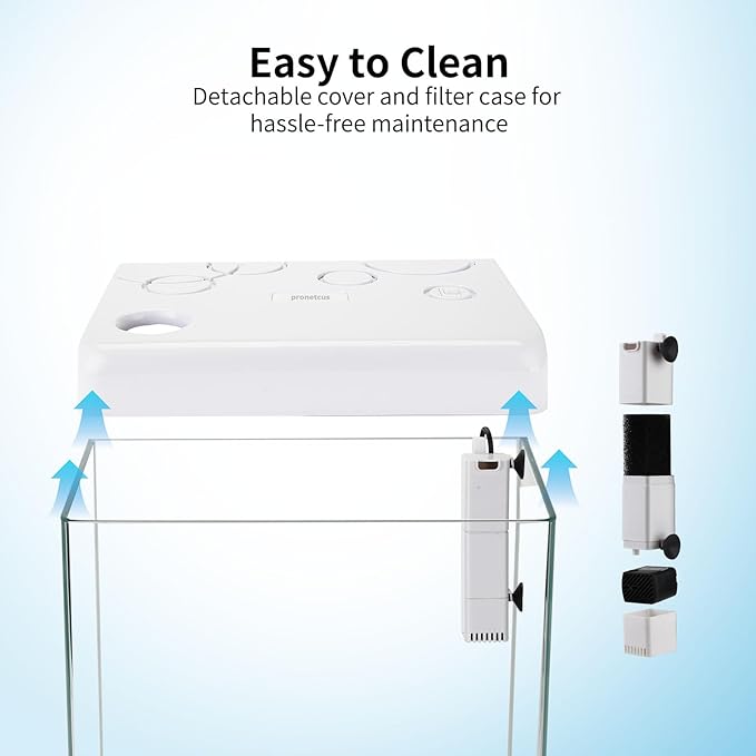 5 Gallon Glass Small Fish Tank,Betta Fish Tank with Filter and Light,White Aquarium Starter Kit.