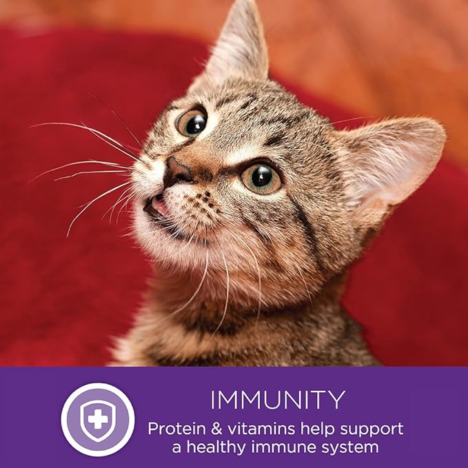 Wellness Healthly Indulgence Morsels Adult Wet Cat Food, Natural, Protein-Rich, Grain Free, 3 Ounce Pouch, 24 Pack, (Chicken & Turkey)