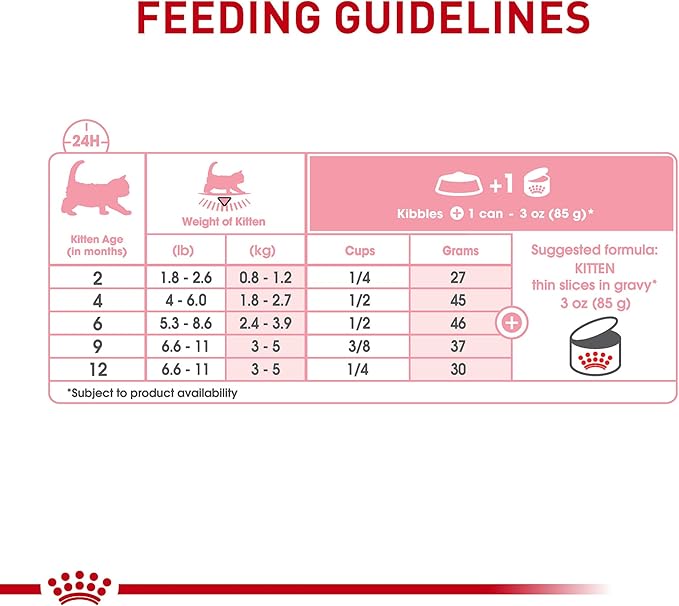 Royal Canin Feline Health Nutrition Kitten Thin Slices in Gravy Canned Cat Food, 3 oz., Count of 24