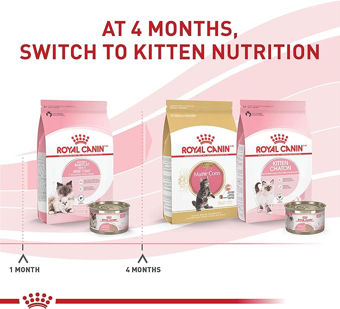 Royal Canin Feline Health Nutrition Mother & Babycat Ultra Soft Mousse in Sauce Wet Canned Cat Food, Supports Healthy Digestion and Brain Development, 3 oz, 6 Pack