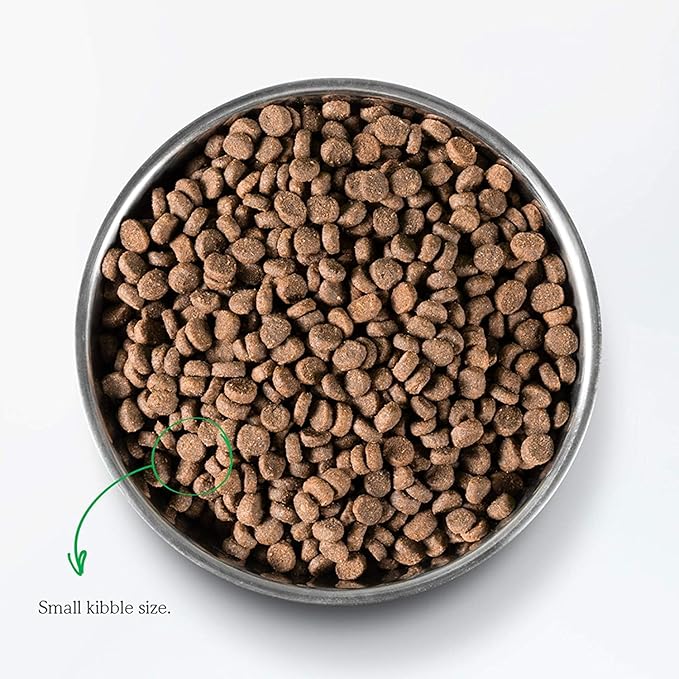 Open Farm Catch-of-The-Season Whitefish Grain-Free Dry Cat Food, Wild-Caught Fish Recipe with Non-GMO Superfoods and No Artificial Flavors or Preservatives, 2 lbs