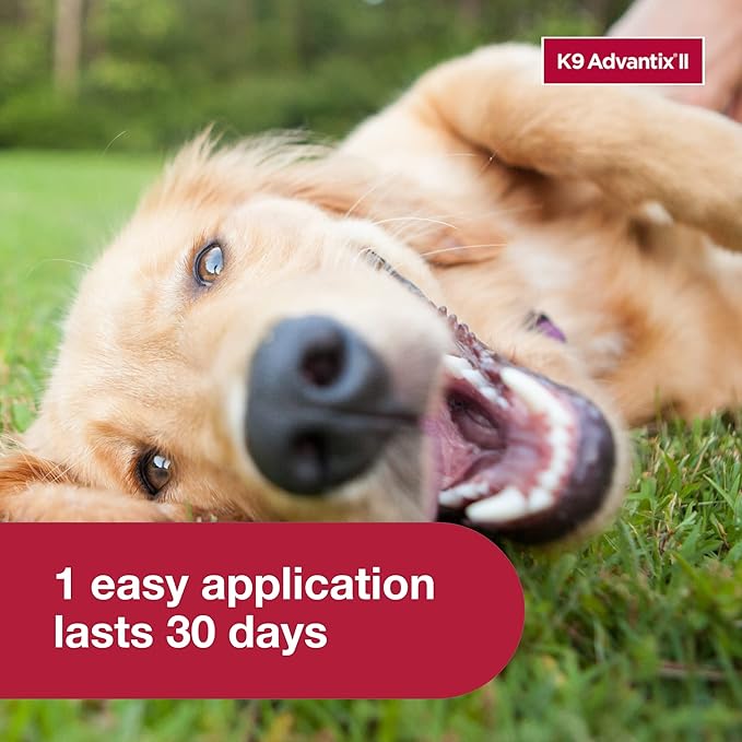 K9 Advantix II Large Dog Vet-Recommended Flea, Tick & Mosquito Treatment & Prevention | Dogs 21-55 lbs. | 4-Mo Supply (Pack of 2)