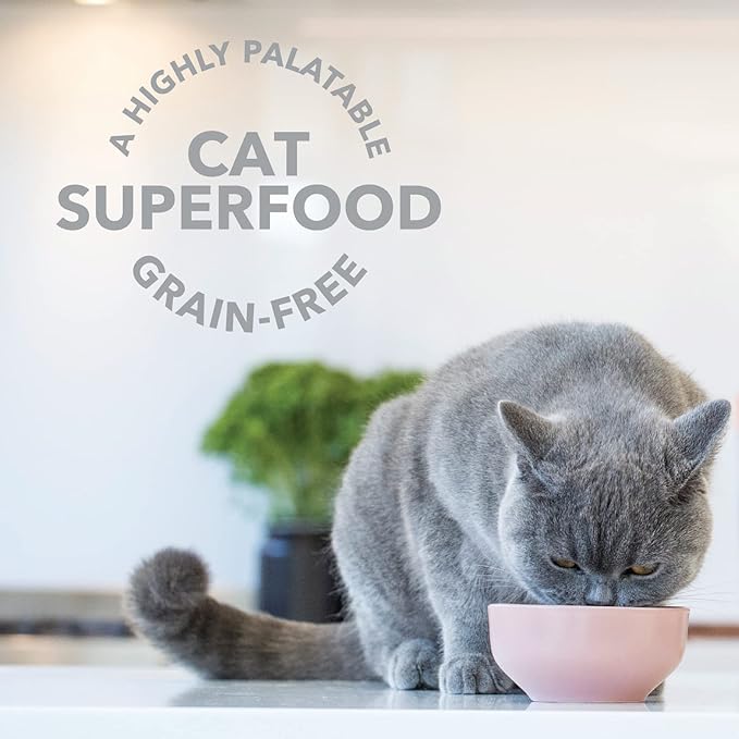 Feline Natural Freeze Dried Lamb Green Tripe Cat Food Supplement - Grain-Free High Protein Natural Topper - 2 Oz Grass Fed Beef Freeze Dried Cat Treats