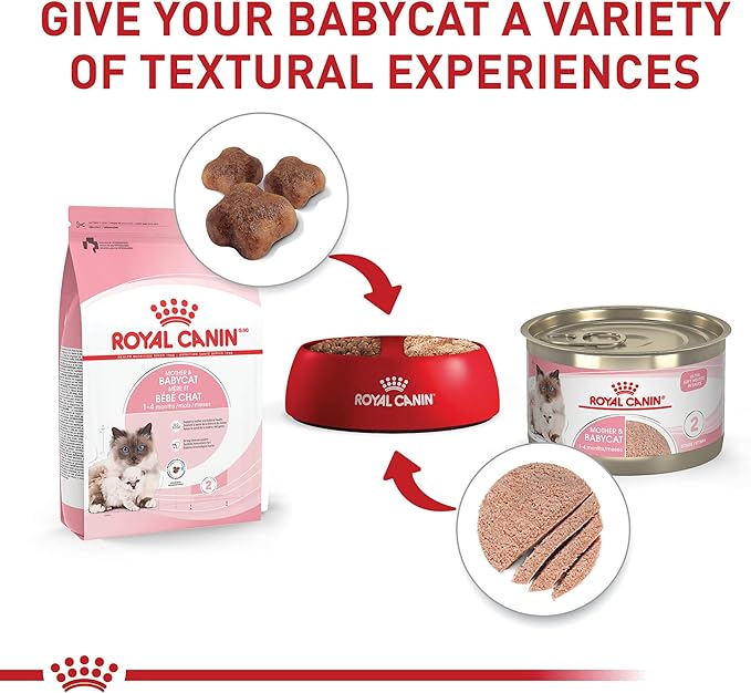 Royal Canin Feline Health Nutrition Mother & Babycat Ultra Soft Mousse in Sauce Wet Canned Cat Food, Supports Healthy Digestion and Brain Development, 3 oz, 6 Pack