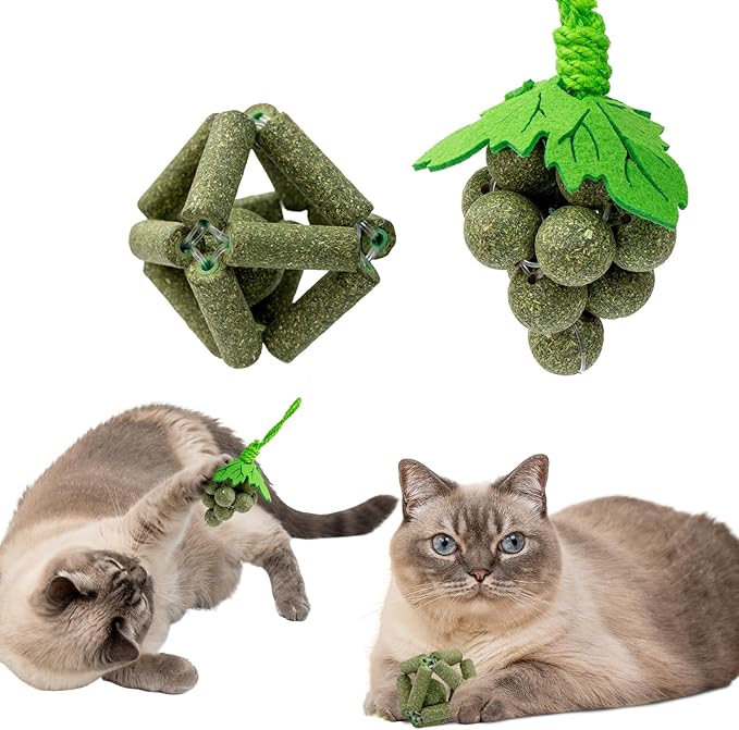 Cat Catnip Toys,2Pcs Catnip Ball for Cats,Toys for Indoor Cats,Cat Chew Exercise Toy for All Breeds and Species,Enhances Oral and Dental Health