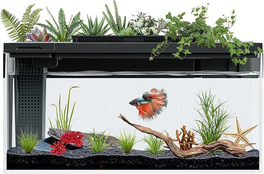 3.7 Gallon Betta Fish Tank self Cleaning,Smart Aquarium Aquarium kit with Filter Light Water Pump