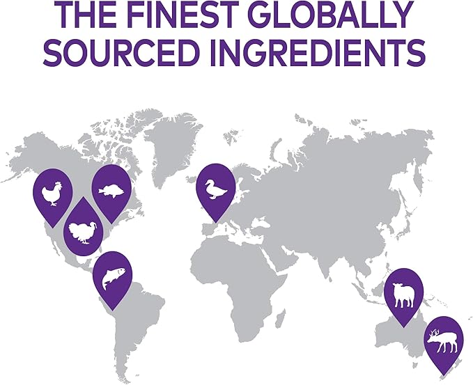 Wellness Healthy Indulgence Gravy Adult Wet Cat Food, Natural, Protein-Rich, Grain Free, 3 Ounce Pouch, 8 Pack, (Gravy Variety Pack)