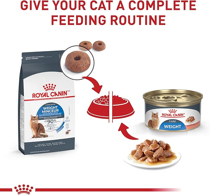 Royal Canin Feline Weight Care Thin Slices in Gravy Canned Adult Wet Cat Food, 3 oz can (24-count)