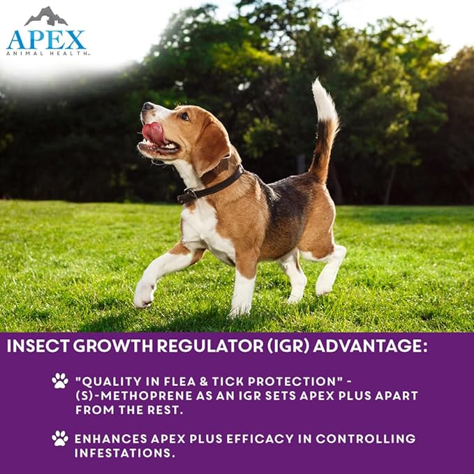 Apex Plus Flea and Tick Prevention for Dogs | Large (45-88 lbs) | 6-Month Supply | Dog Flea and Tick Treatment | 24-Hour Activation, Waterproof, 30-Day Protection
