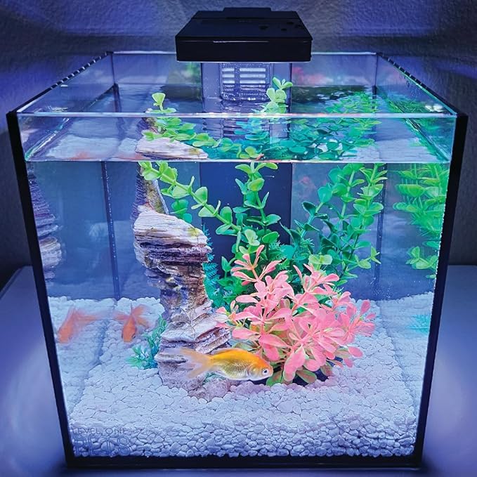 Level One Pets 3 Gallon Mini Aquarium Kit - Includes Duo 2 in 1 Submersible Filter with LED Light