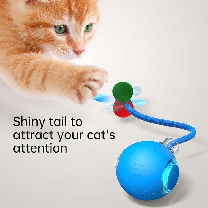 Interactive Cat Toys for Indoor Cats - Kitten Toy with Speedy Tail 2.0, Automatic Cat Toys for Bored Indoor Adult Cats, Motion-Activated, 2025 New Upgraded, USB Rechargeable (Blue)