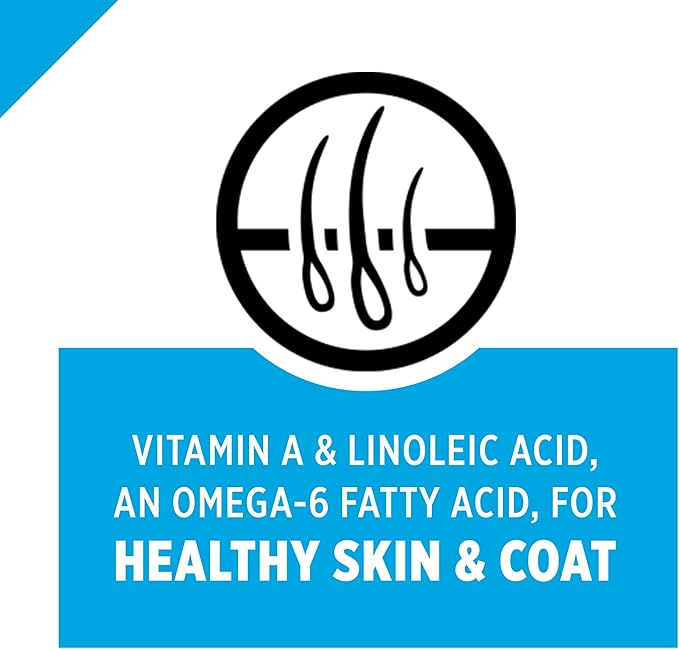 Purina Pro Plan With Probiotics, Sensitive Skin & Stomach, Natural Dry Cat Food, Turkey & Oat Meal Formula - 12.5 lb. Bag