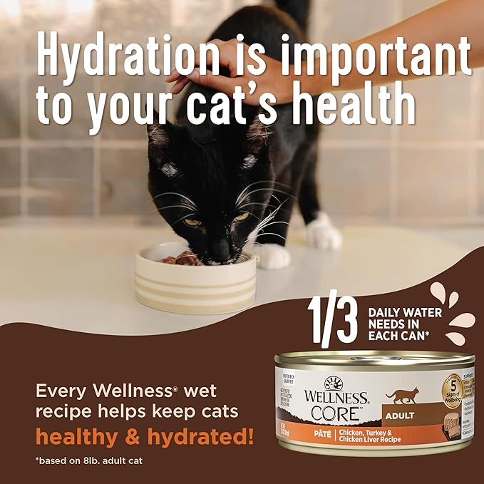 Wellness CORE+ Indoor Pate Adult Wet Cat Food, Natural, Protein-Rich, Grain Free, 5.5 Ounce, 24 Pack (Chicken & Chicken Liver)