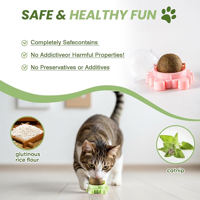 Catnip Toys 4 Pack Catnip Balls Catnip Wall Ball 360° Rotatable Chewing Teeth Cleaning Edible Cat Interactive Toys Indoor Play with Cats Wall Anxiety Relief Cat Chew Ball