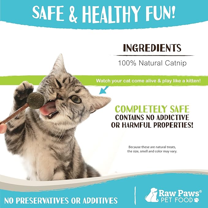 Raw Paws Catnip & Silvervine Lollipops Interactive Cat Toy (6 Pack) - Silvervine Sticks for Cats - Catnip Ball Toy - Fresh Cat Nip - Silver Vine Dental Sticks