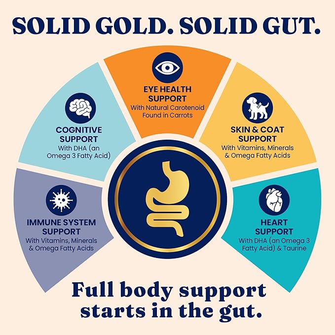 Solid Gold Indoor Dry Cat Food - Grain Free & Gluten Free - Salmon Cat Food Dry Kibble for Indoor Cats w/Probiotics & Fiber for Gut Health - Sensitive Stomach & Hairball Support for Adult Cats - 12LB