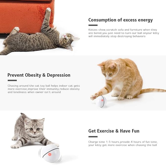 WWVVPET Interactive Cat Toys Ball with LED Light, 360 Degree Self Auto Rotating Smart Ball, USB Rechargeable Spinning Cat Ball Toy,Stimulate Hunting Instinct Kitten Funny Chaser Roller Pet Toy