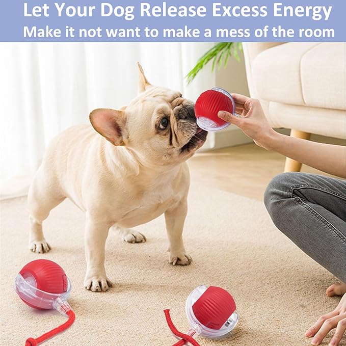 Interactive Cat Toys for Indoor Cats, 360° Smart Automatic Kitten Toys Self Rolling Pet Ball, Moving Dog Cat Ball with Mesh Tail for Bored, USB Rechargeable (Red)