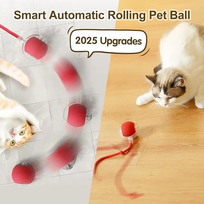 Interactive Pet Chase Toy - Rechargeable, Motion Ball, Self-Moving Kitten Toy for Indoor Interactive Playing, Smart Cat Rolling Ball
