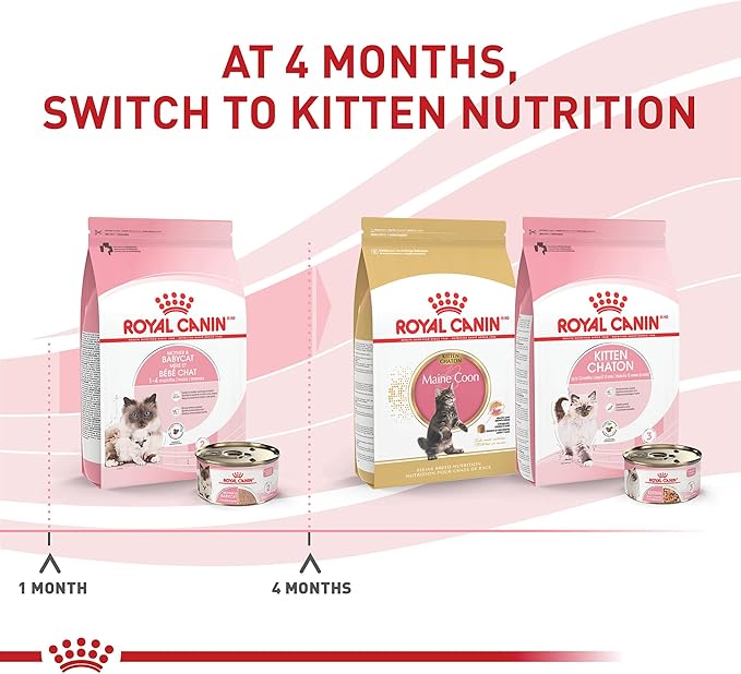 Royal Canin Feline Health Nutrition Mother & Babycat Ultra Soft Mousse in Sauce Canned Cat Food, 3 oz can (24-count)