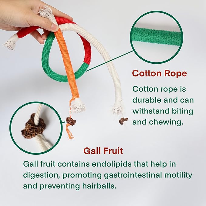 Kittens Toys，Cat Chew Toys for Indoor Cats, Catnip Toy for Teeth Cleaning, Interactive Cat Nip Teething Rope Toys for Cats Kitty, 2 Pack (27.56&7.87 inches，Plus 2 Packs of Catnip)