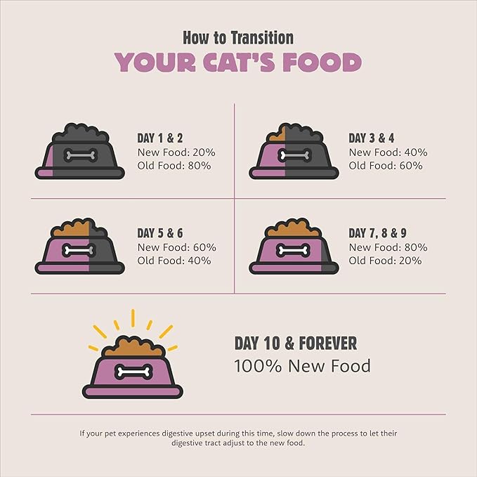 Meadow Roast, Dry Cat Food, Chicken Meal and Duck Meal Adult Recipe with Grains, 12 lb Bag