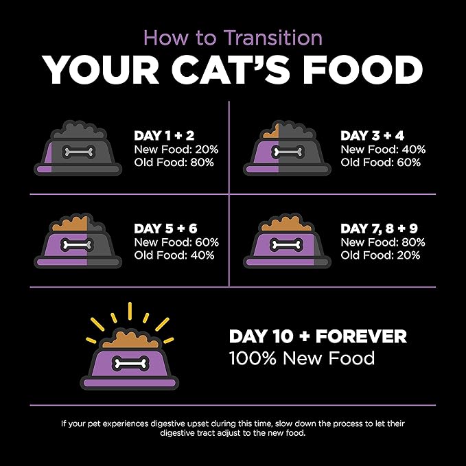 Go! Solutions Carnivore, Grain-Free, Protein Rich Dry Cat Food, Chicken, Turkey and Duck Recipe, 16 lb Bag