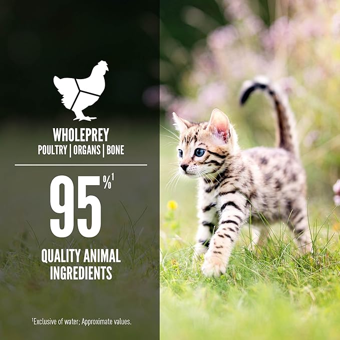 ORIJEN Premium Pate Wet Kitten Cat Food in Bone Broth Chicken & Salmon Entrée 5.5oz Cans (6 Count)