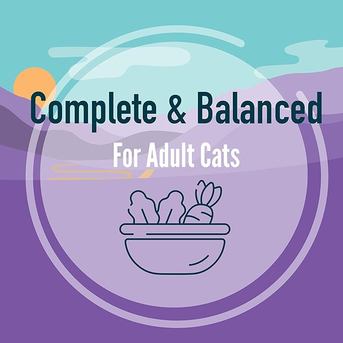 A Strong Heart Canned Wet Cat Food, Beef Dinner Paté - 3 oz Cans (Pack of 24), Made in The USA with Real Beef