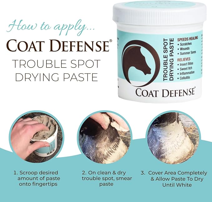 COAT DEFENSE Trouble Spot Drying Paste for Horses - Natural Equine Wound Care That Provides Safe & Effective Relief from Scratches, Sweet Itch, Summer Sores, Proud Flesh, Mud Fever, Girth Rot (24 Oz)