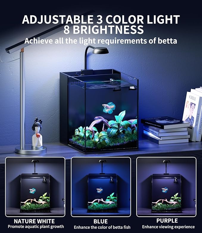 Small Betta Fish Tank Aquarium Starter Kit, 2 Gallon Glass Rimless Nano Beta Tank with Hidden Filtration, 3 Color Light, Quiet Water Pump, Lid