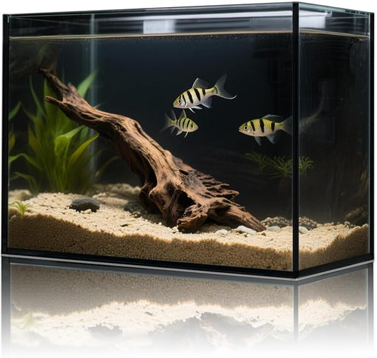 3 Gallon Glass Fish Tank Cube, Small Aquarium Fish Bowl for Betta Goldfish Snails Shrimp Aquatic Planting, Easy to Maintain Ultra Clear Rimless Design for Desktop Small Spaces