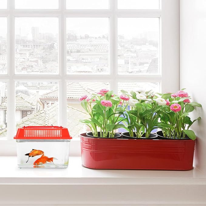 Portable Fish Tank, Handheld Fish Tank, Plastic Mini Fish Box, Transparent Cutout Design, Plastic Aquarium with Handle for Turtle and Pet Fish Lid for