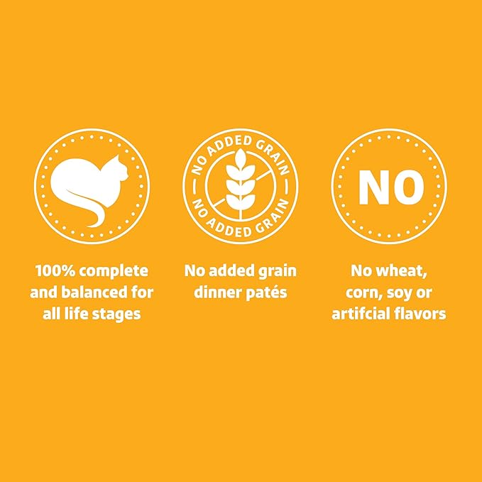 Amazon Brand - Wonder Bound Wet Cat Food, Paté, No Added Grain, 3 oz cans, Pack of 24 (Chicken)