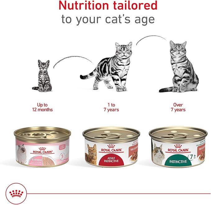 Royal Canin Adult Feline Health Nutrition Instinctive Thin Slices in Gravy Canned Wet Cat Food, 3 oz can (24-count)