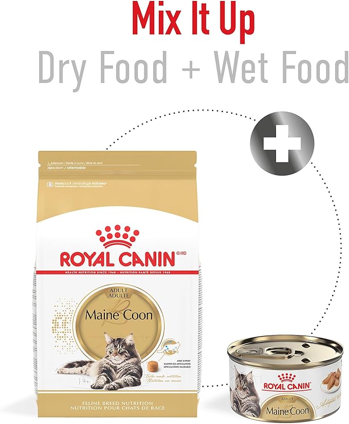 Royal Canin Maine Coon Breed Adult Dry Cat Food, 6 lb bag