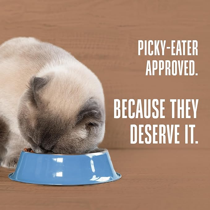 Whole Life Cat Freeze Dried Cat Food - Bland Diet with Sensitive Stomachs, Digestive Support, Anti-Diarrhea & Vomit Remedy – Human-Grade, Quick & Easy Chicken and Rice Meal, Ready in Minutes