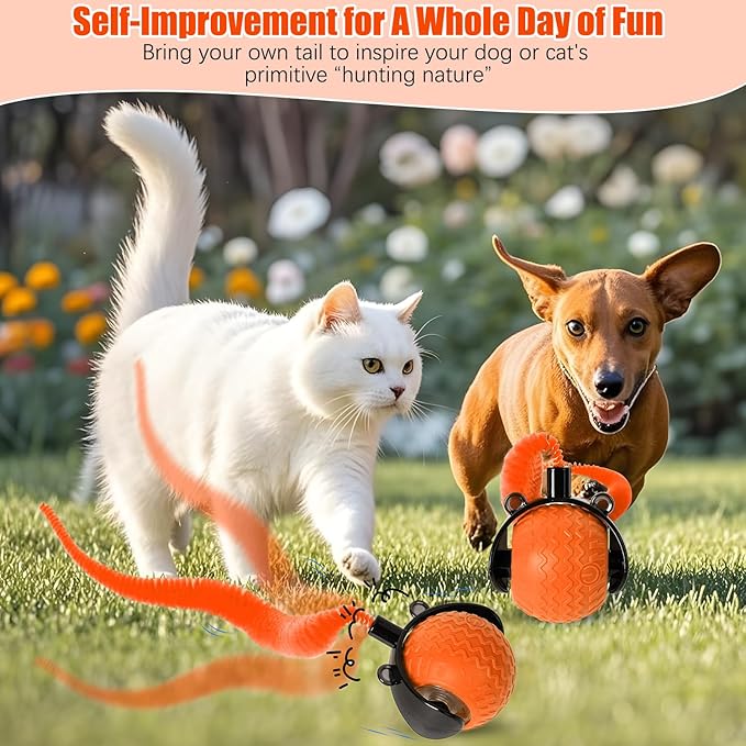nteractive Cat Ball Toy, Cat Toy Ball with Cord Imitation Mouse, Obstacle Avoidance Smart CatToy Balls, Motion Activated Toys to Keep Them Busy (Orange, 1)