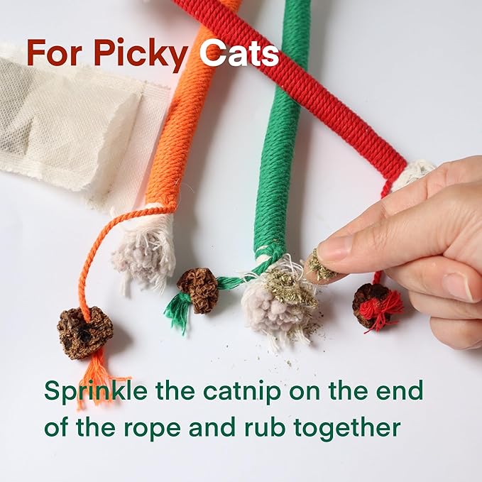 Kitten Toys, Cat Chew Toy for Indoor Cats, Catnip Toys for Teeth Cleaning, Interactive Cat Nip Teething Rope Toys for Cats Kitty, 3 Pack (Include 1 Pack of Catnip)