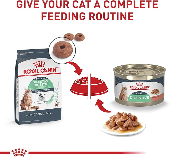 Royal Canin Feline Digestive Care Thin Slices in Gravy Wet Cat Food, 5.1 oz can (24-Count)