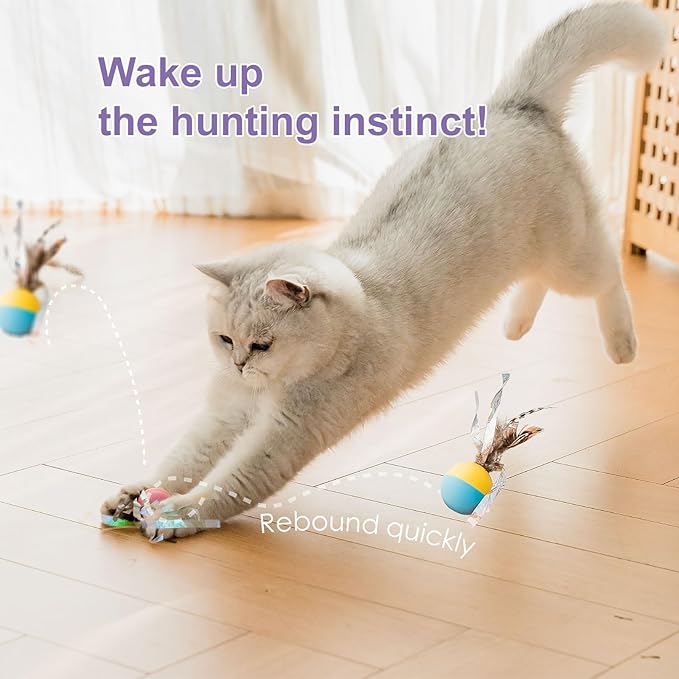 Plumed Cat Ball Toy for Indoor Cats, Assorted Color, Silicone Bouncy Ball Toy Set (5PCS)