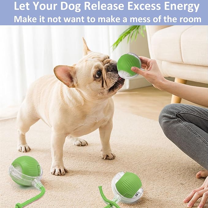 Chewie Viral Rolling Ball, Interactive Cat Toys Ball for Indoor, Cats Interactive Self Rolling Ball Dog Ball Automatic Cat Toy 360° Smart Automatic Rolling Pet Ball (Green)