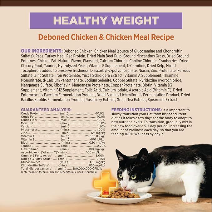 Wellness CORE+ Adult Dry Cat Food for Indoor & Outdoor Cats, Grain Free, Natural, Healthy Weight, Chicken and Chicken Meal (4.75 Pound Bag)