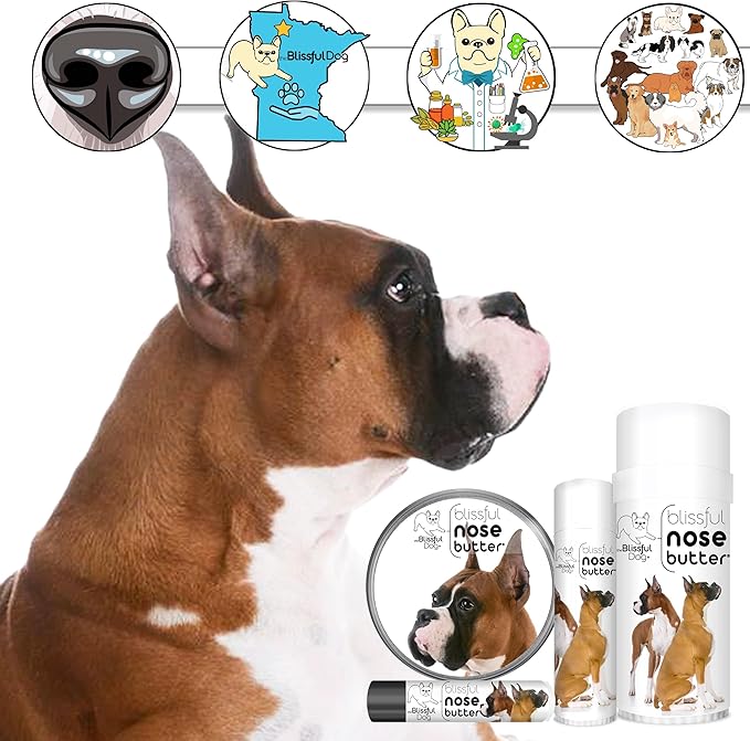 The Blissful Dog Show Boxer Nose Butter for Dry, Cracked Skin, Lick-Safe Dog Nose Balm with Moisturizing Shea Butter, Almond, Olive, and Essential Oils, Pet Supplies, Uncented, 1 oz.
