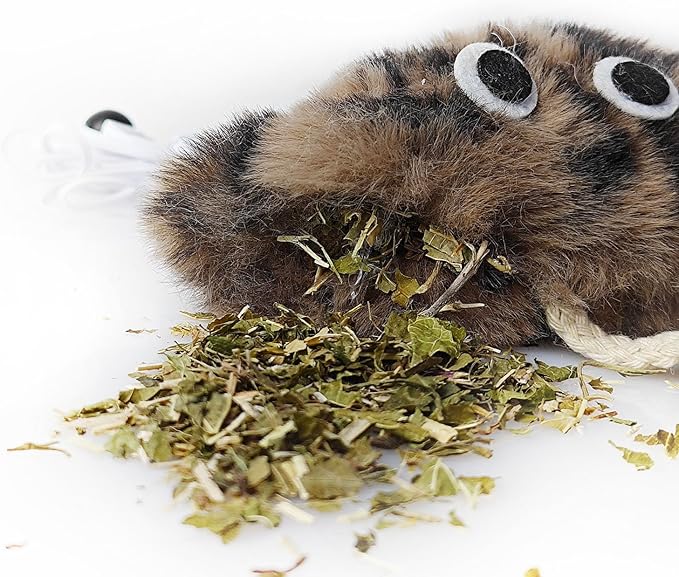 Cat Toys for Indoor Cats,Interactive Door Hanging Cat Toys Attached with Catnip/Feathers/Birds/Worm Toys for Cats/Kitten Toys(3 Pack)