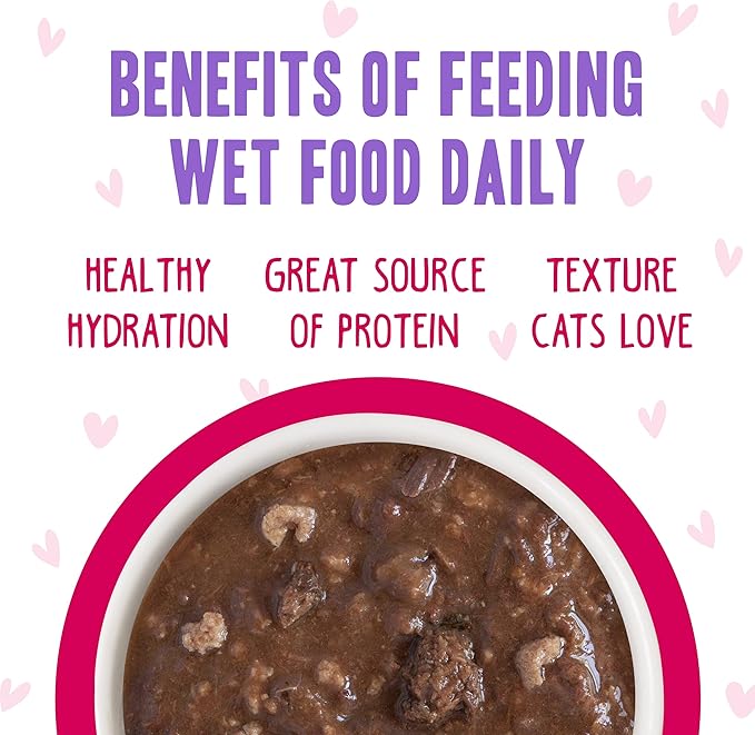 Weruva B.F.F. OMG - Best Feline Friend Oh My Gravy!, Tuna & Duck Dilly Dally with Tuna & Duck, 5.5oz Can (Pack of 8)