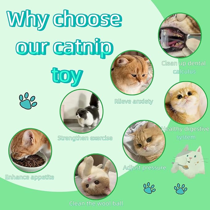 Natural Cat Toys Set with Catnip Fish & Bone,Catnip Plush Toy & Natural Silvervine Stick Cage Balls & cat nip for Cats Lolipop, 8-Piece cat Toys for Indoor Cats Interactive Pet Toys