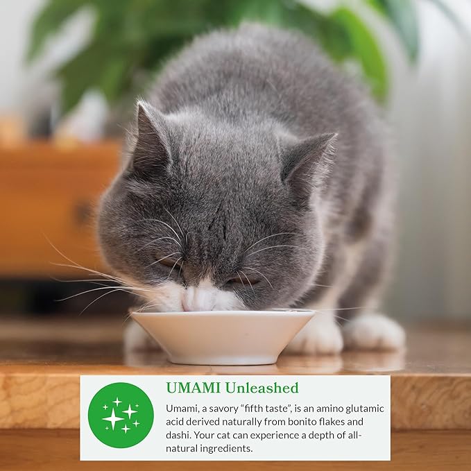 INABA Dashi Delights for Cats, 2.5 Ounce Cup, 6 Cups Total, Chicken with Tuna & Salmon Recipe