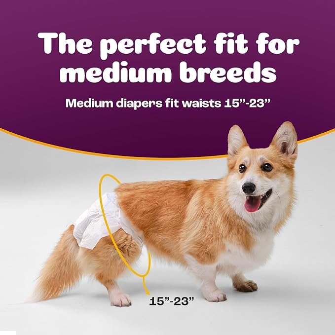 Inspire Pet Care Dog Diapers Female Dogs | Bulk Value Doggie Incontinence, Accidents, for Heat, Pee or Period and Housebreaking (Medium (48 Count))