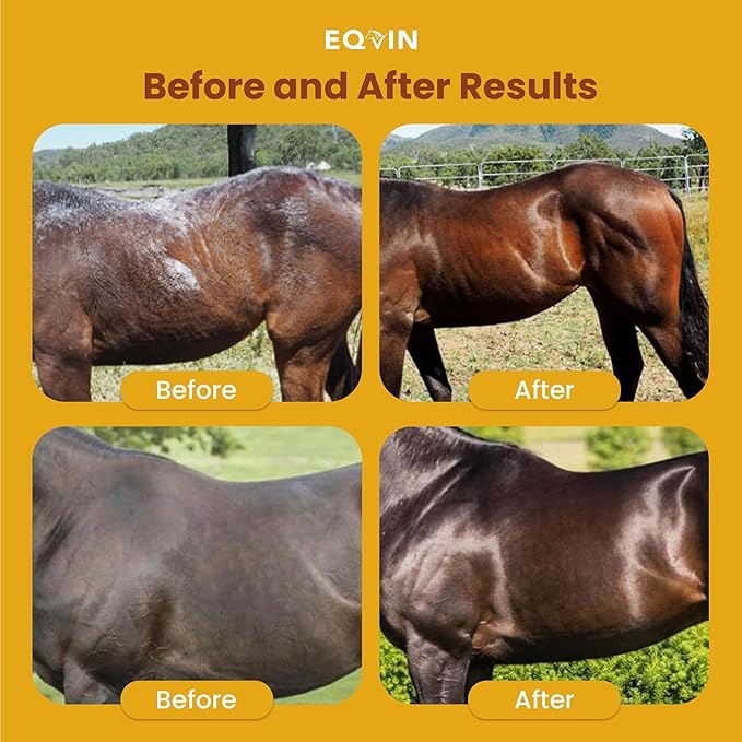 Coat Care Powder for Horses 8.4oz | Made in USA | Equine Skin Conditioner for Sweet Itch, Rain Rot & Skin Issues | Effective Dry Horse Shampoo & Daily Preventative | Herbal & Natural Formula